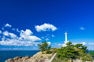 会社概要|株式会社PureFlat（ピュアフラット）｜広島県東広島市